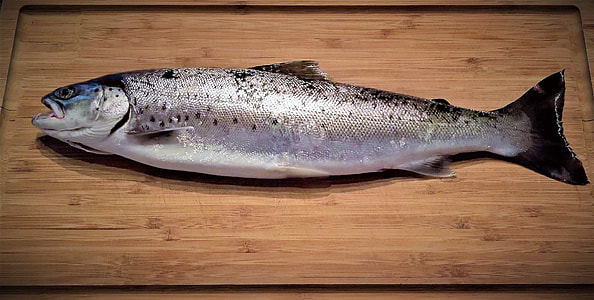 silver fish on cutting board