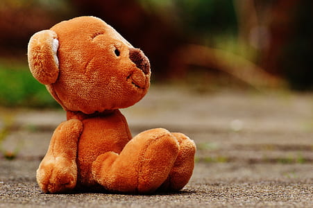 shallow focus photography of brown bear plush toy on ground
