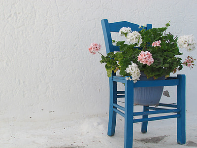 white and pink petaled flowers on blue wooden chair pot
