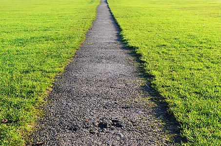 photo of pathway between grass lawn