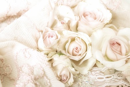 photo of white roses on white textile