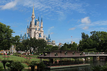 Disney Land castle