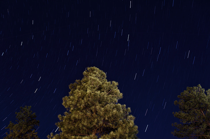 green trees under starry sky at night time