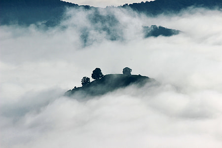 sea of clouds on top of hill with trees at daytime