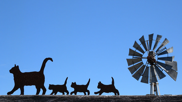 gray windmill with silhouette of cats