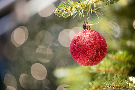 selective focus bokeh photography of hanging red bauble