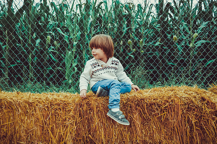 toddler wearing white sweater and blue jeans sitting on brown hay at daytime