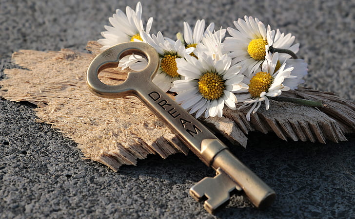 grey skeleton key and daisy flowers