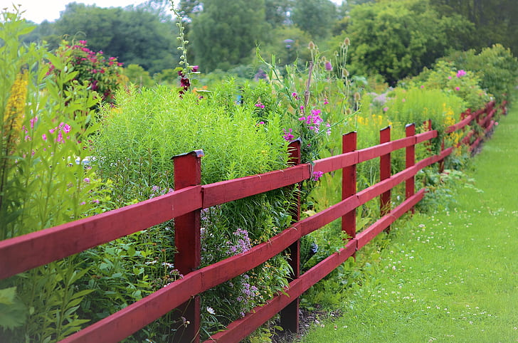 What It Is Best To Do To Find Out About Best Greenhouse Before You're Left Behind