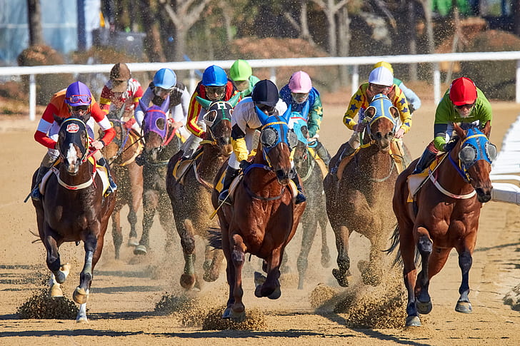 men riding horses at daytime