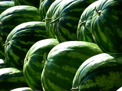 watermelon lot