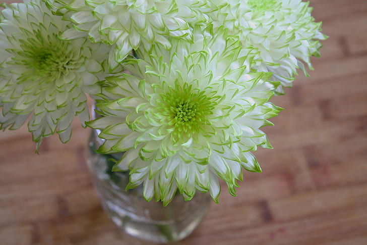 green and white dahlia flower arrangement in vase