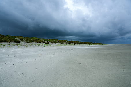 Landscape Photo of Shore