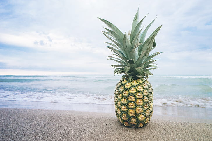 pineapple on beach shore