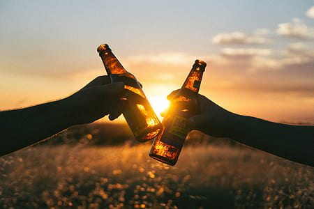 silhouette photo of two person holding beer bottles