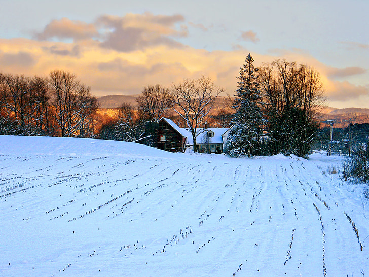 snow field during dawn