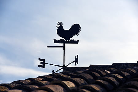 silhouette photo of weathervane on roof during daytime
