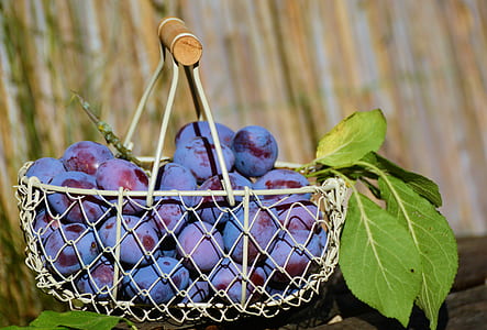bunch of grapes on white basket