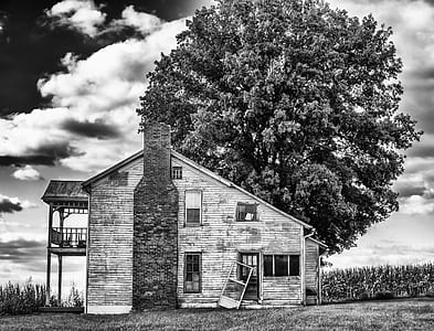 grayscale photo of house with trees and grass