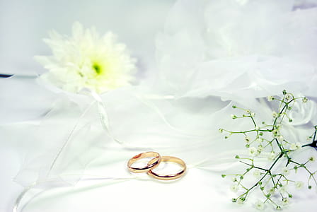 two gold-colored wedding rings