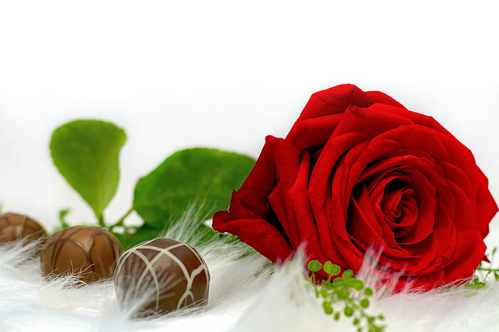 red rose and three chocolate balls
