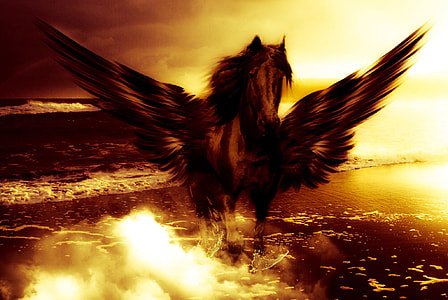 brown and black horse with wings standing on body of water painting