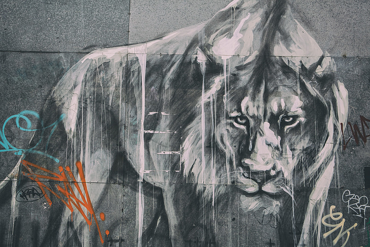 Wide angle shot of street art lion and graffiti,