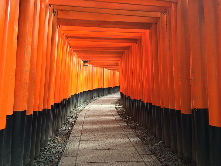 orange and black metal framed pathway