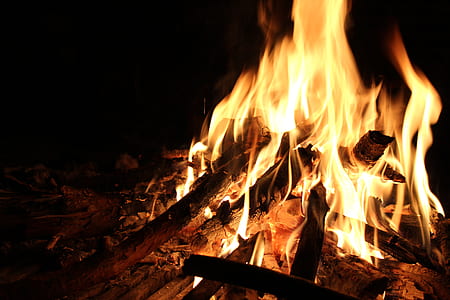 fire on firewood