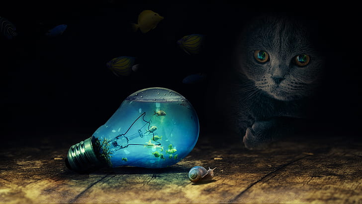 photo of cat watching bulb and snail