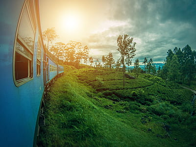 blue train beside green grass during daytime