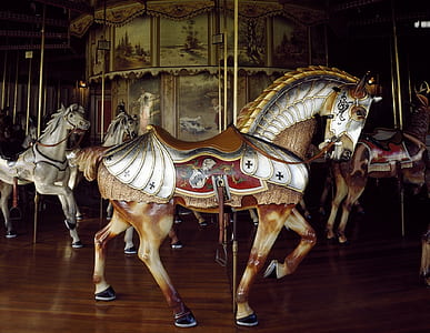 brown and white horses in carousel