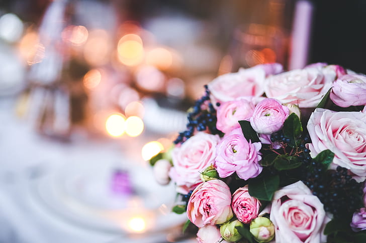 focus photography of pink rose bouquet