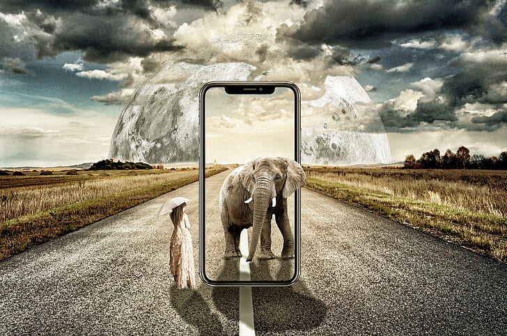 gray elephant standing beside woman holding umbrella smartphone advertisement photo