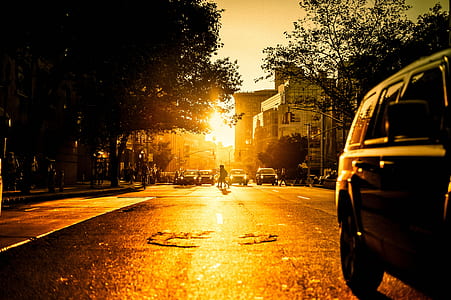 person walking on road near cars during golden hour