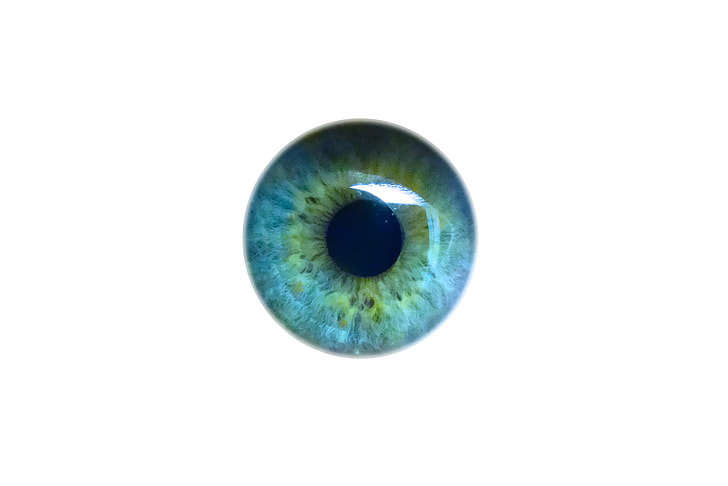 human blue pupil