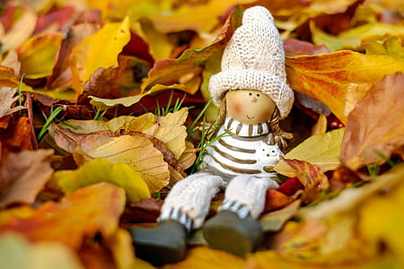 tilt shift lens photo of toy doll on dried leaves