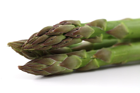Asparagus close-up