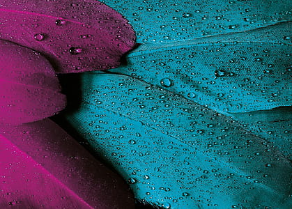 macro photography of blue and purple leaves with water drops
