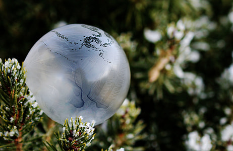 white and gray ornament on a pine tree