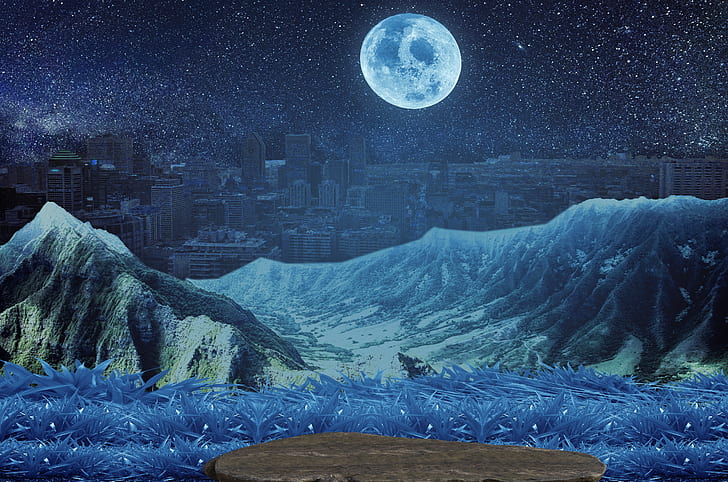 blue grass with mountain and full moon painting