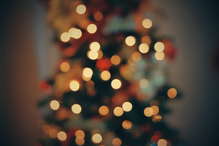 shallow focus photography of holiday tree