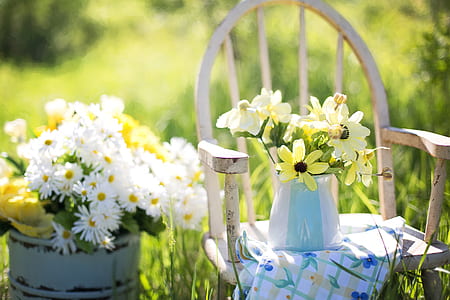 selective focus photography of yellow and white petaled flowers on chair