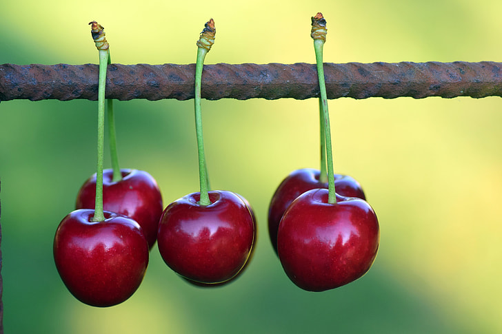 selective focus photography of five red cherries