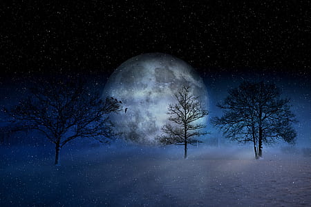 digital artwork of full moon and trees