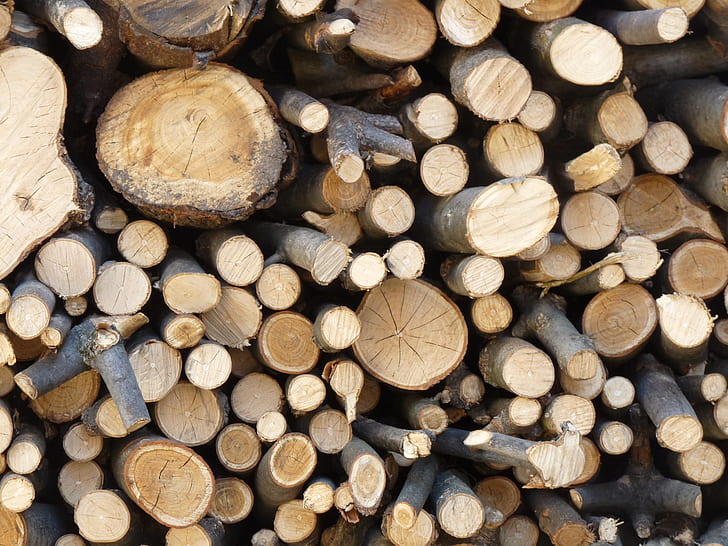 brown firewood pile