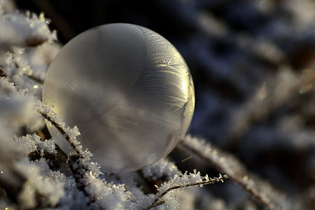 shallow focus photography of clear plastic ball