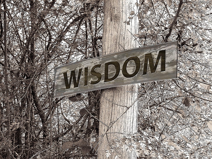 Wisdom signage on wooden post