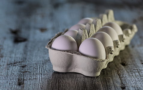 closeup photo of tray of white eggs