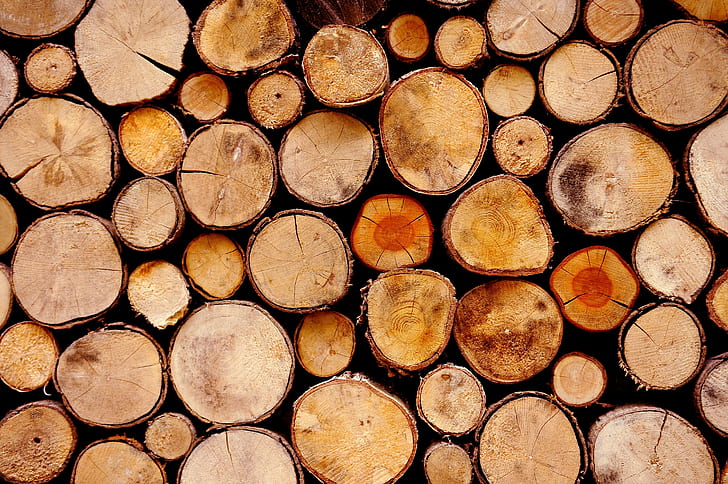 pile of cut log